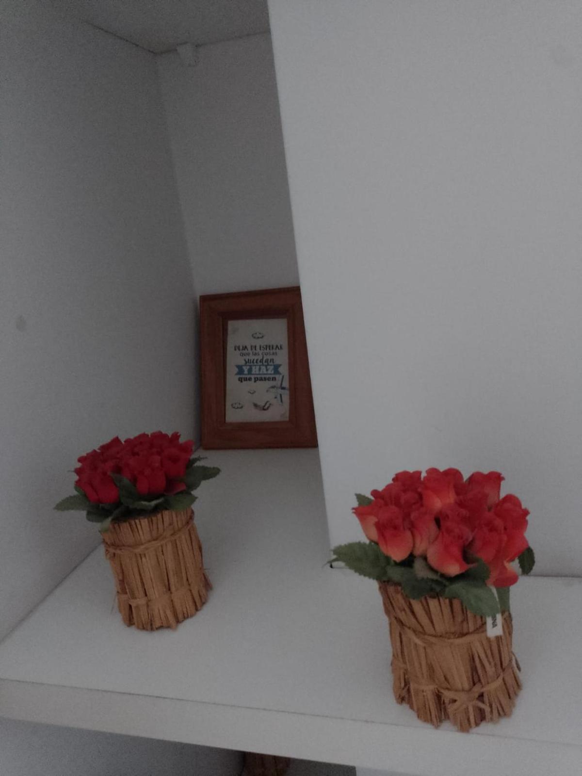 Relax En Palermo Con Gran Balcon Y Wifi 300Mb ブエノスアイレス エクステリア 写真